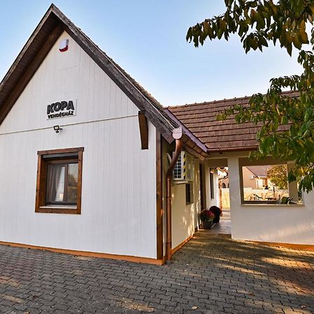 Kopa Vendeghaz Apartment Szigetvár Екстериор снимка