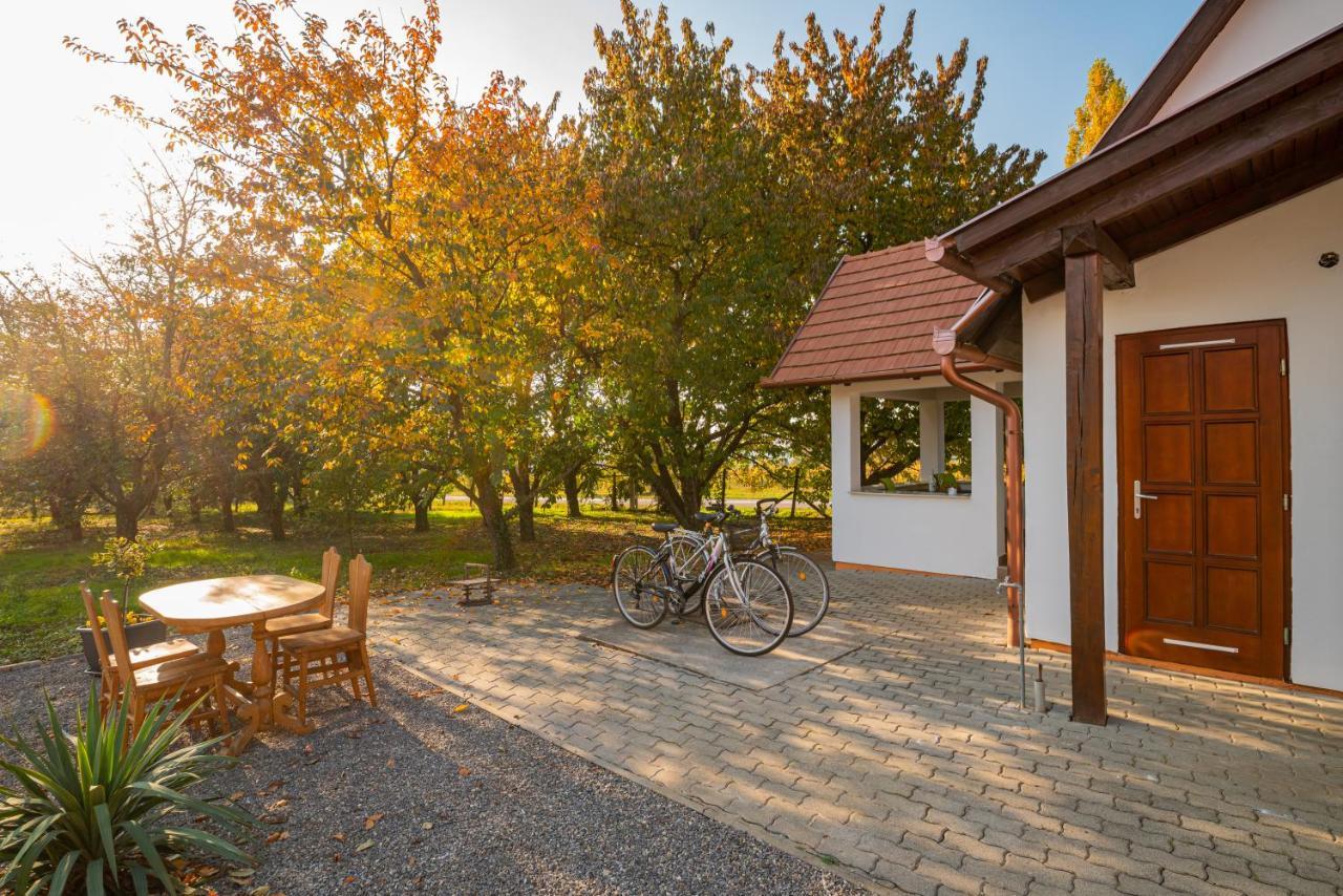 Kopa Vendeghaz Apartment Szigetvár Екстериор снимка
