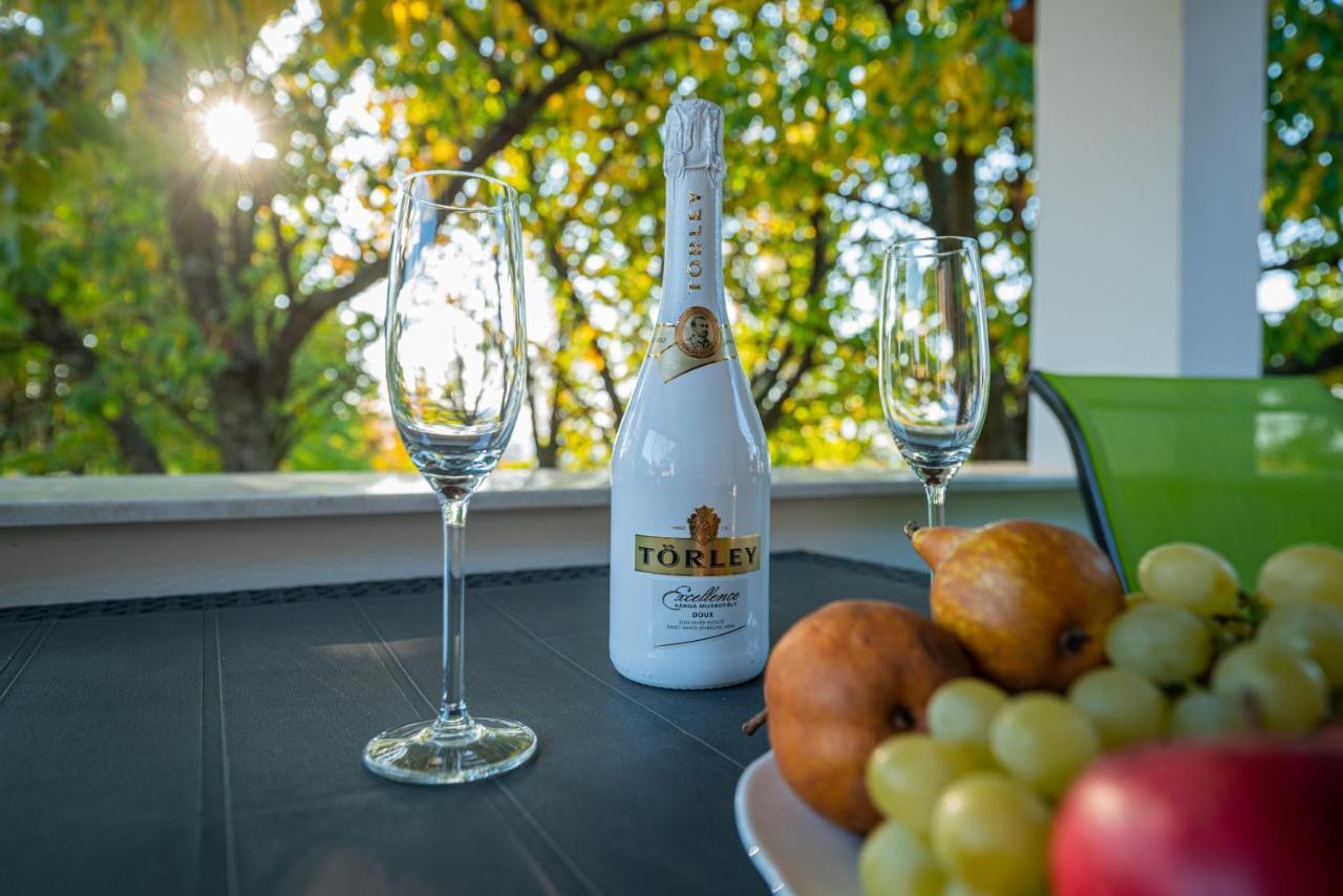 Kopa Vendeghaz Apartment Szigetvár Екстериор снимка
